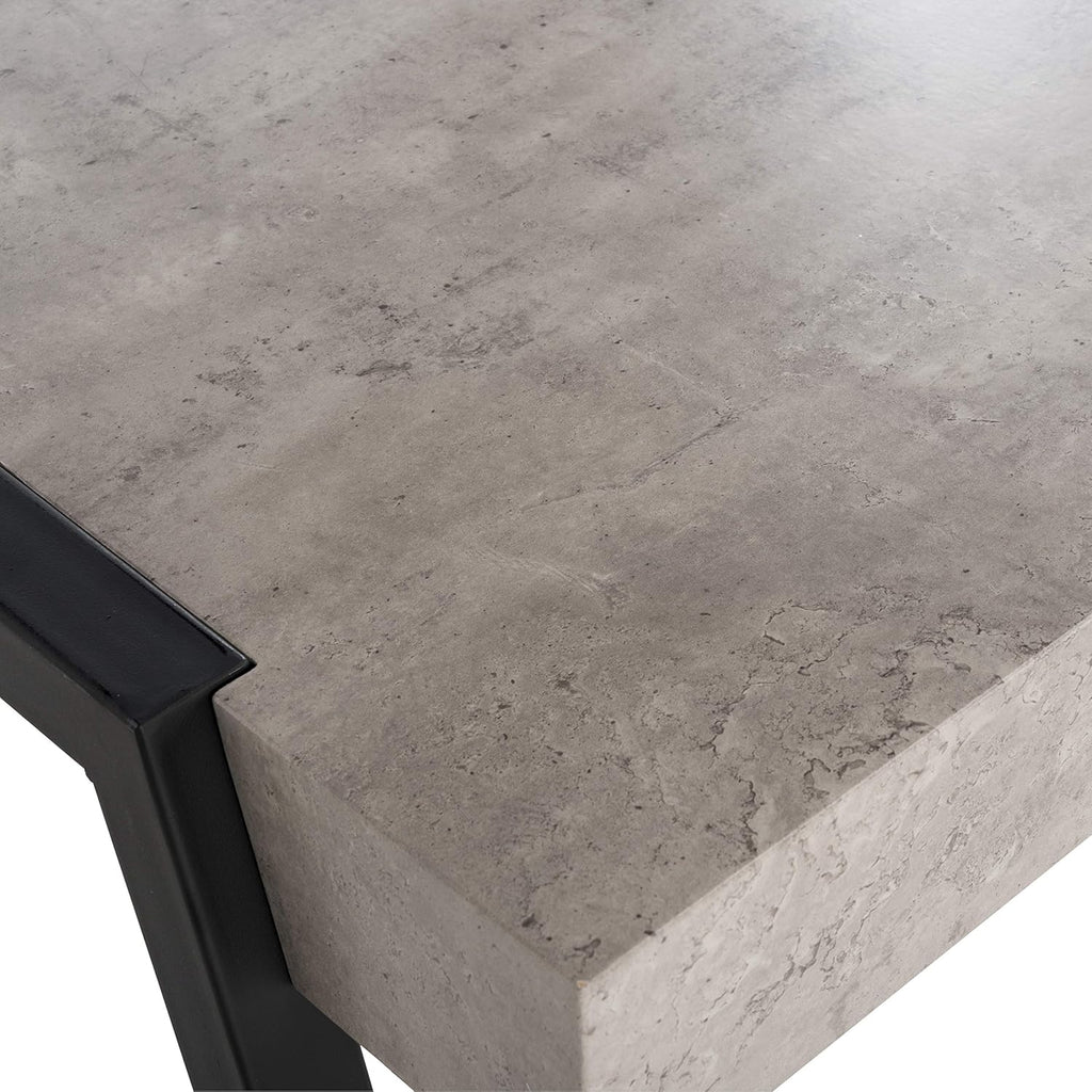 Light Grey and Black Coffee Table Q8418
