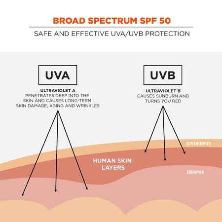 SPF 50 Sunscreen Lotion, 1.5oz, 12-Pack H14571