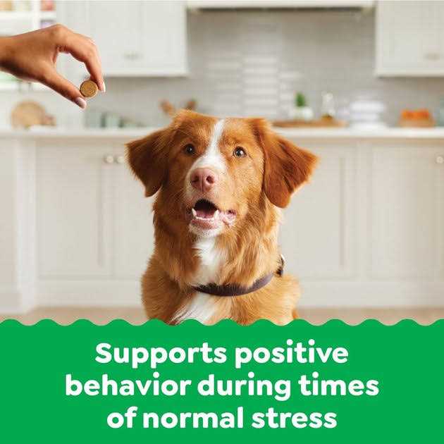Calming Chews for Dogs Chicken Flavor C274857