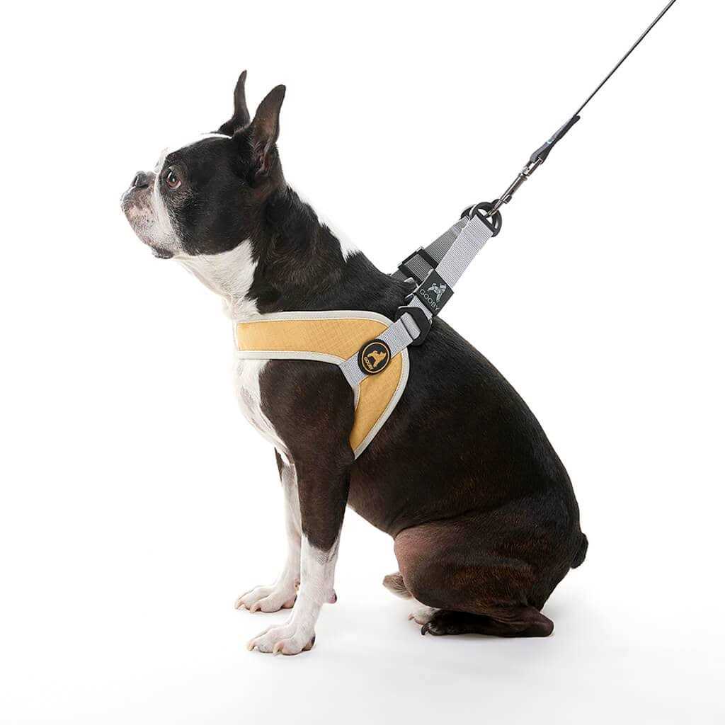 Step-In Dog Harness D656