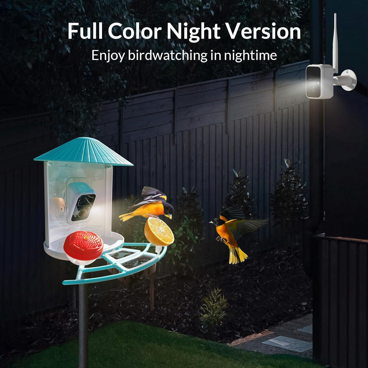 Smart Bird Feeder Camera with Solar Camera Lite U999440
