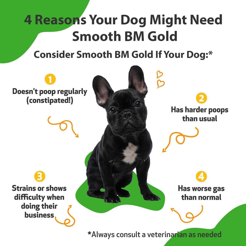 Smooth BM Gold Pet Supplies E588269