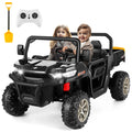 Black 24 V 2 Seater Electric Ride on Dump Truck with Remote Control M355516