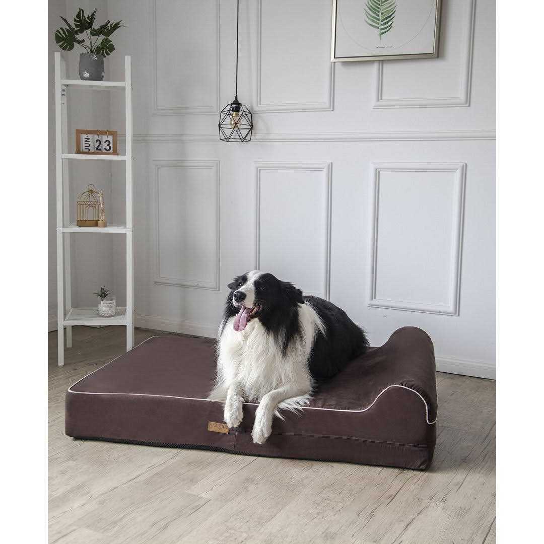 Dog Bed with Pillow Memory Foam H62375
