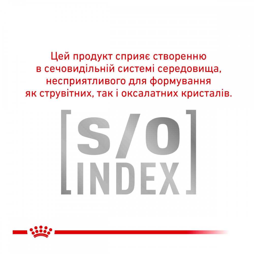 Small Dog Food Y791591