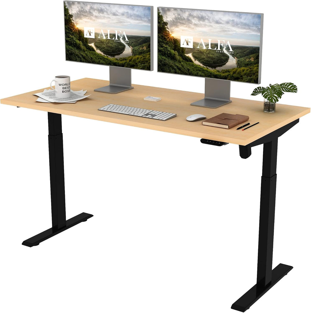 Height Adjustable Electric Sit Stand Desk N648
