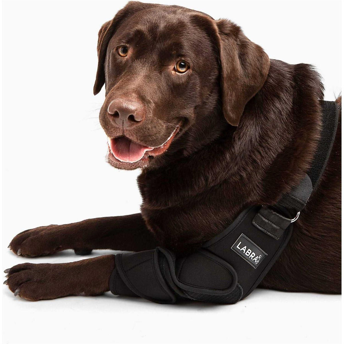 Canine Shoulder Elbow Brace S8620