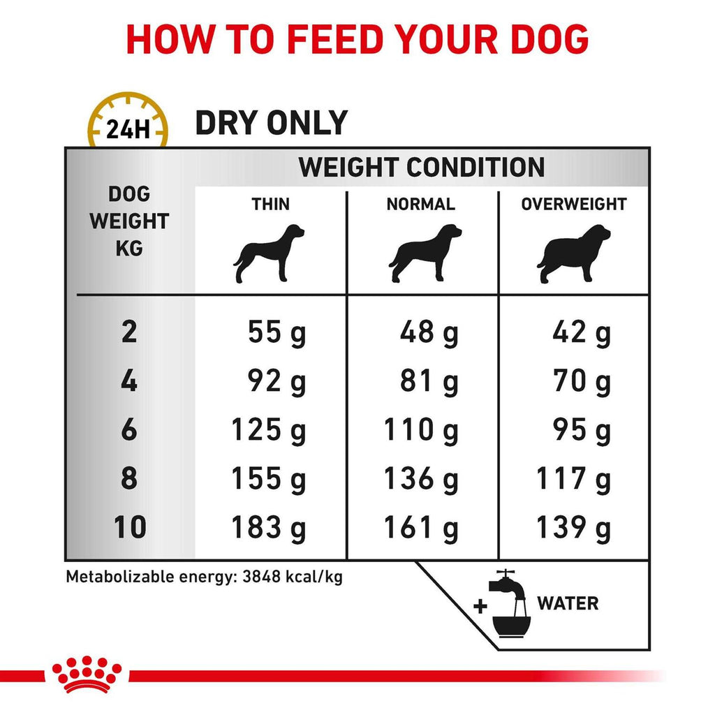 Small Dog Food Y791591