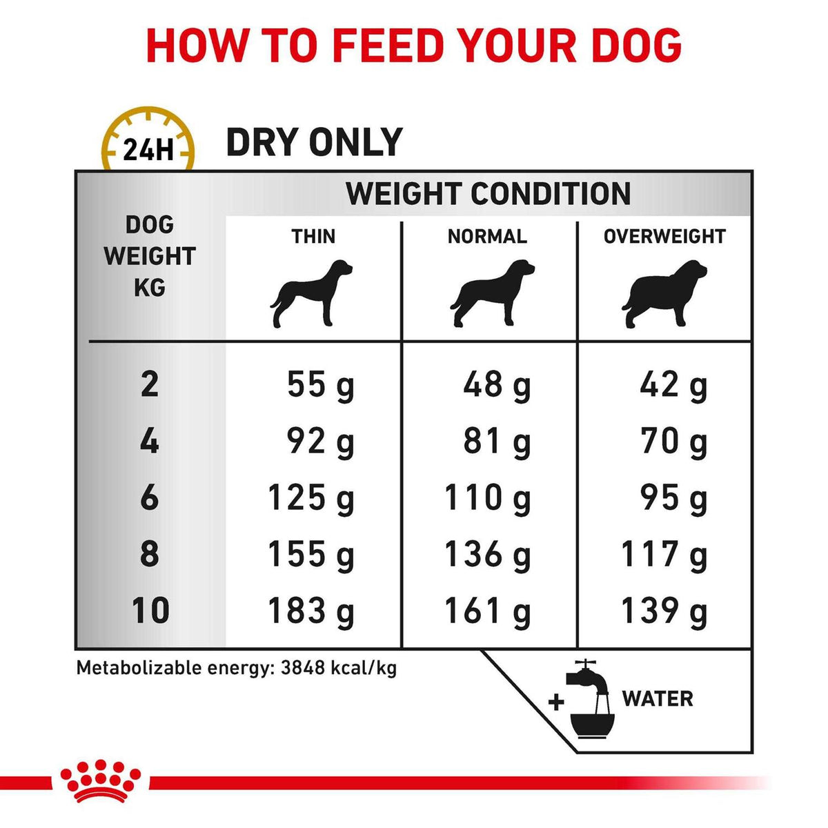 Small Dog Food Y791591