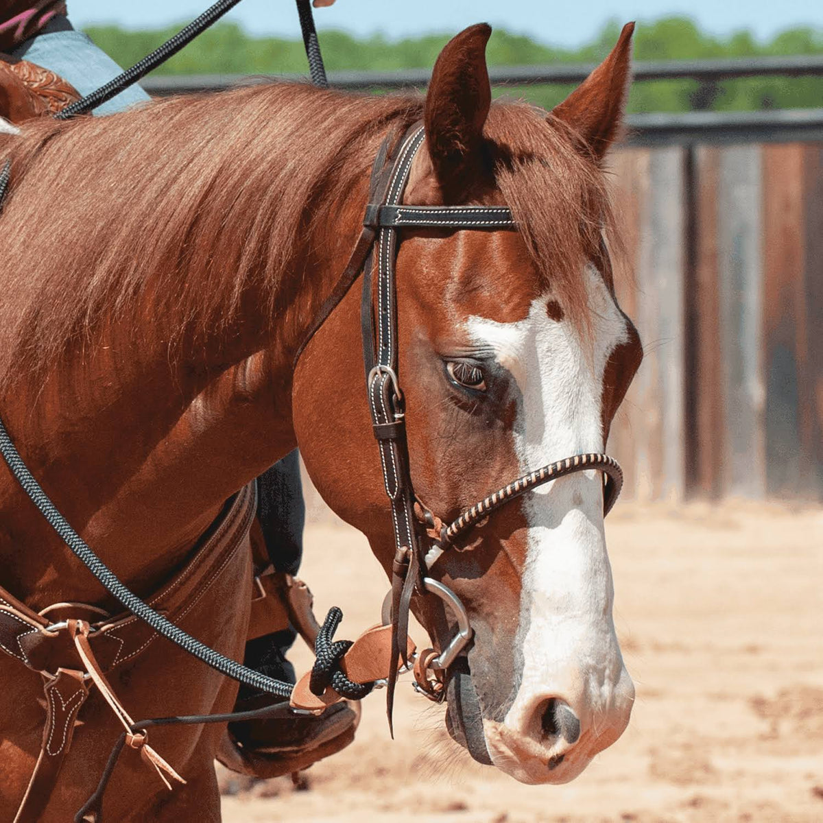 Chocolate Single Rope Noseband B228