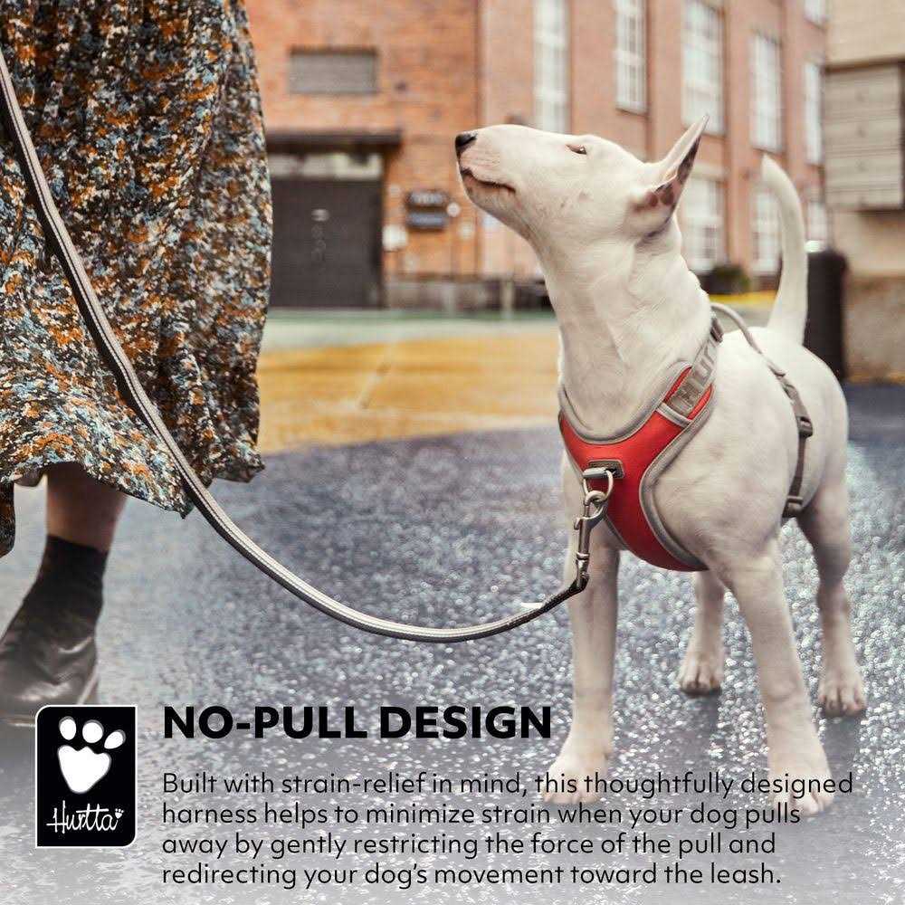 No-Pull Dog Harness P530982