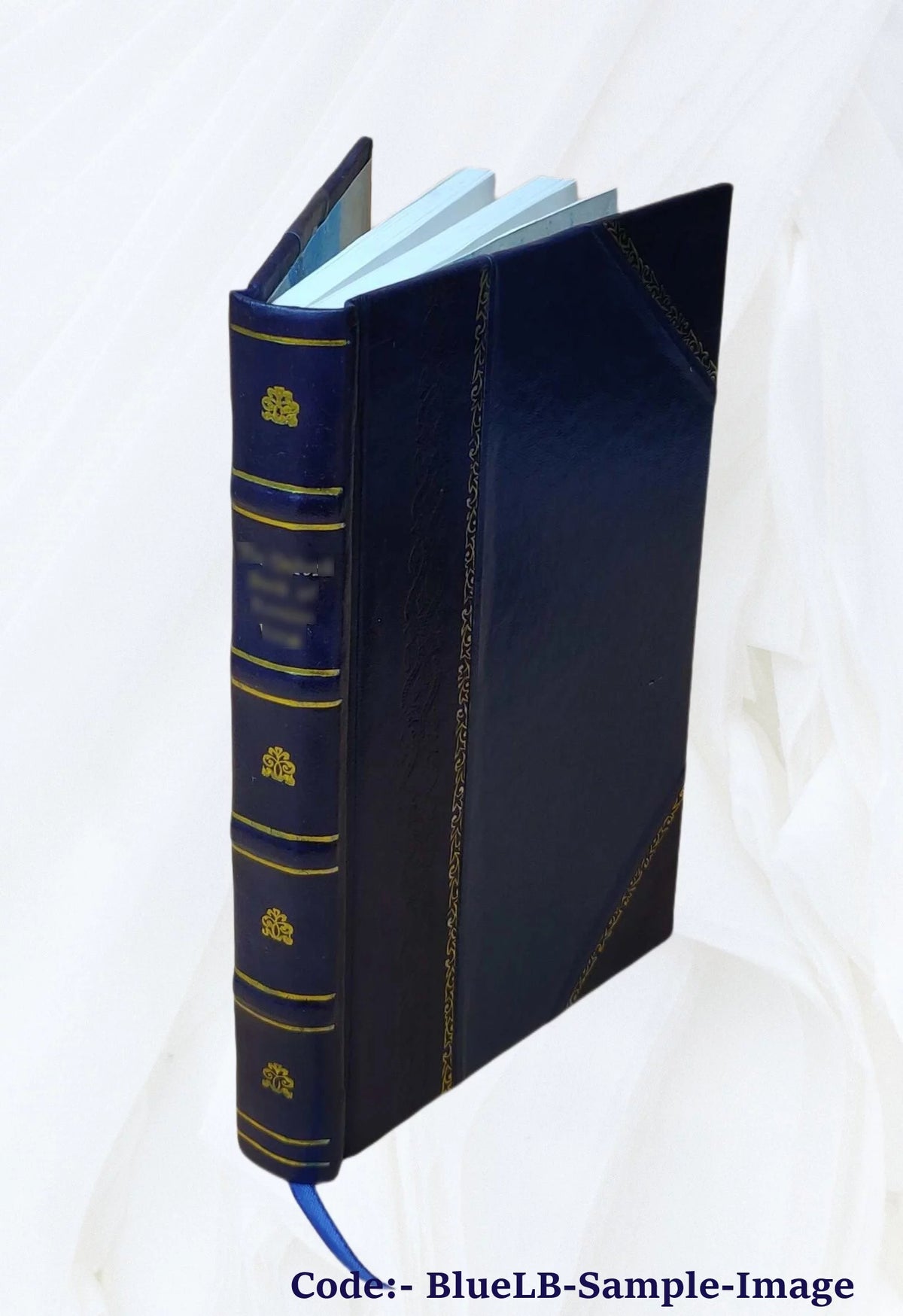 Leather Bound B580