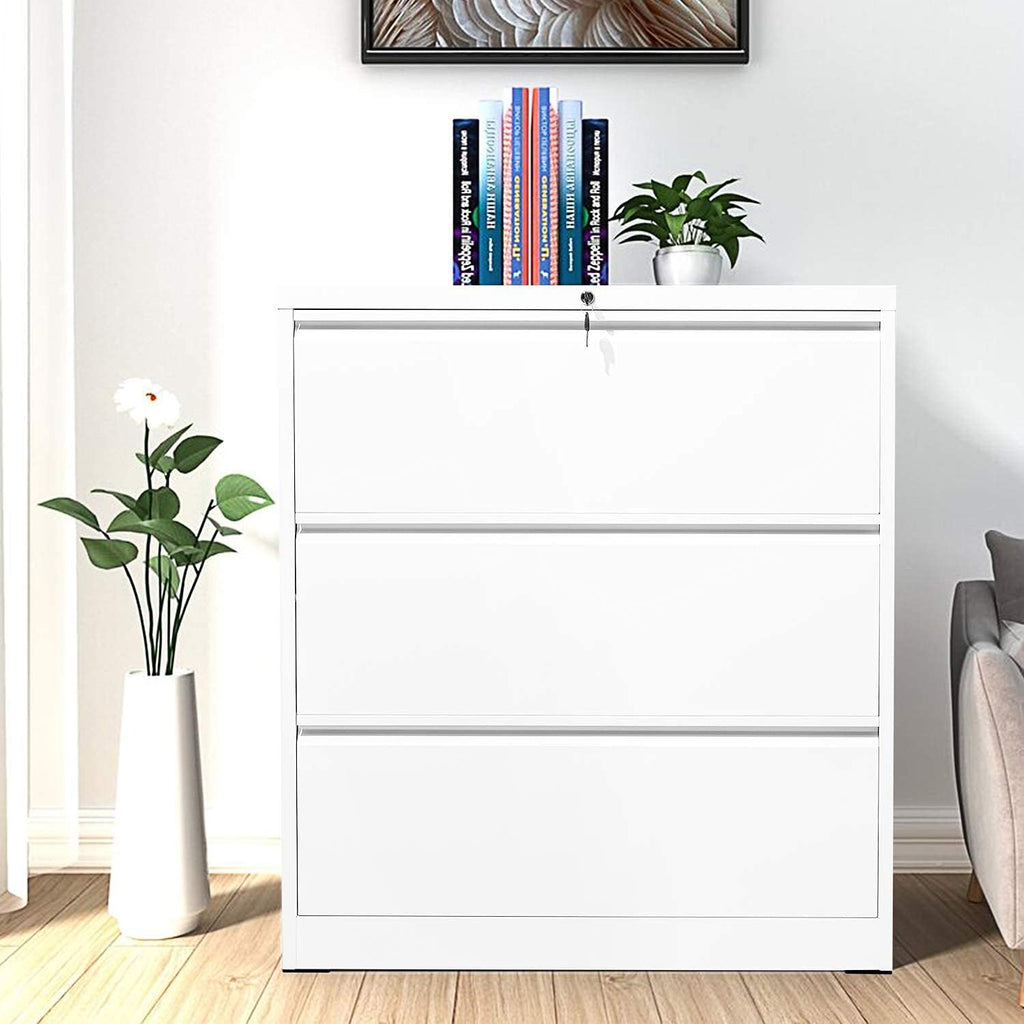2 Drawer Lockable Metal Lateral File Cabinet with 4 Adjustable Hanging Bars Q404854