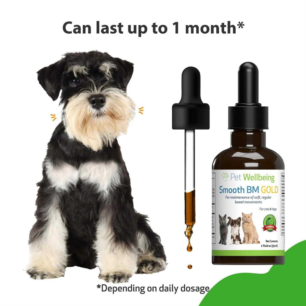 Smooth BM Gold Pet Supplies E588269