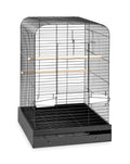 Black Bird Cage U331179