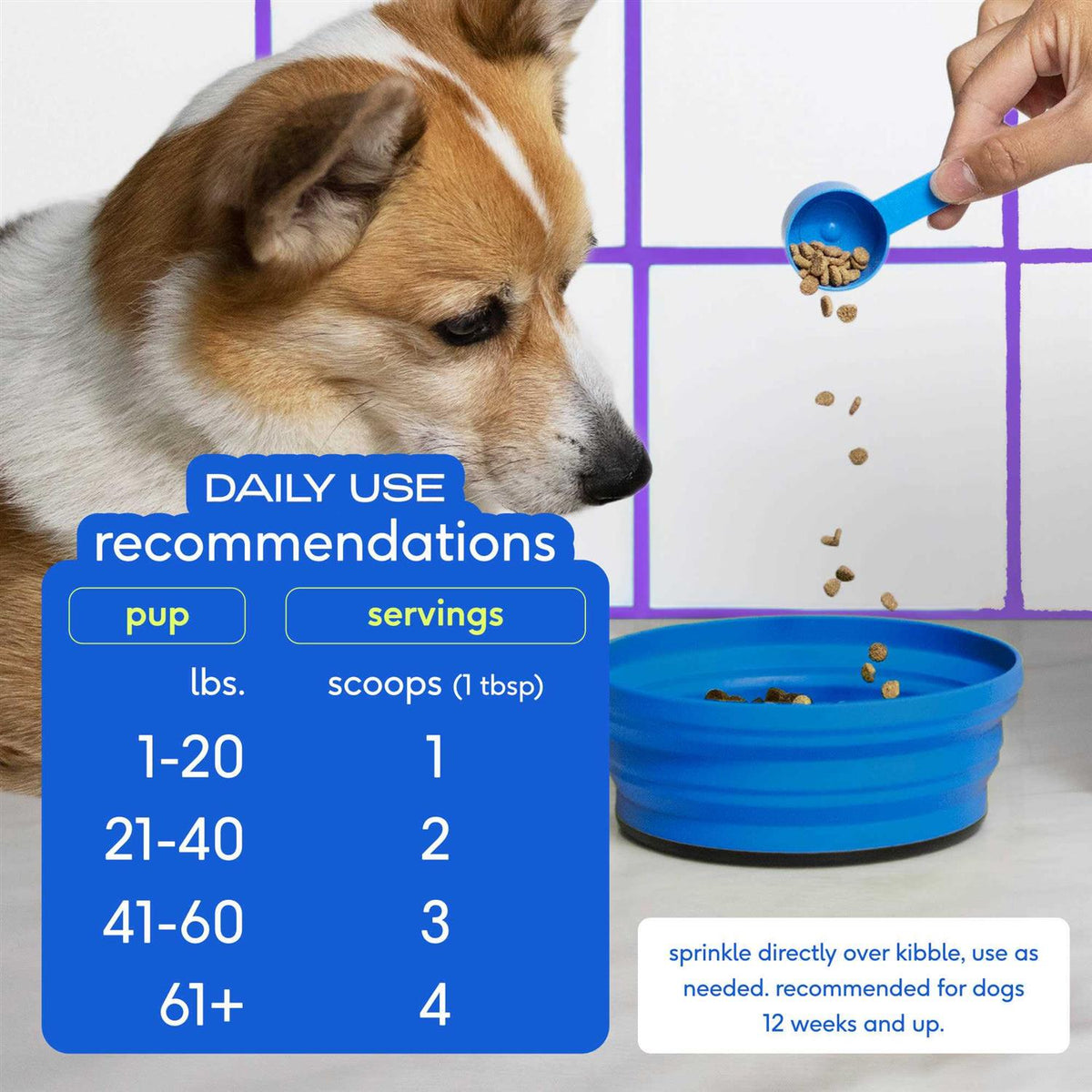Anal Gland Supplement for Dogs W536889