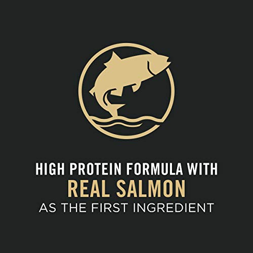 35 lb. Salmon Formula Large Breed Dog Food K4080