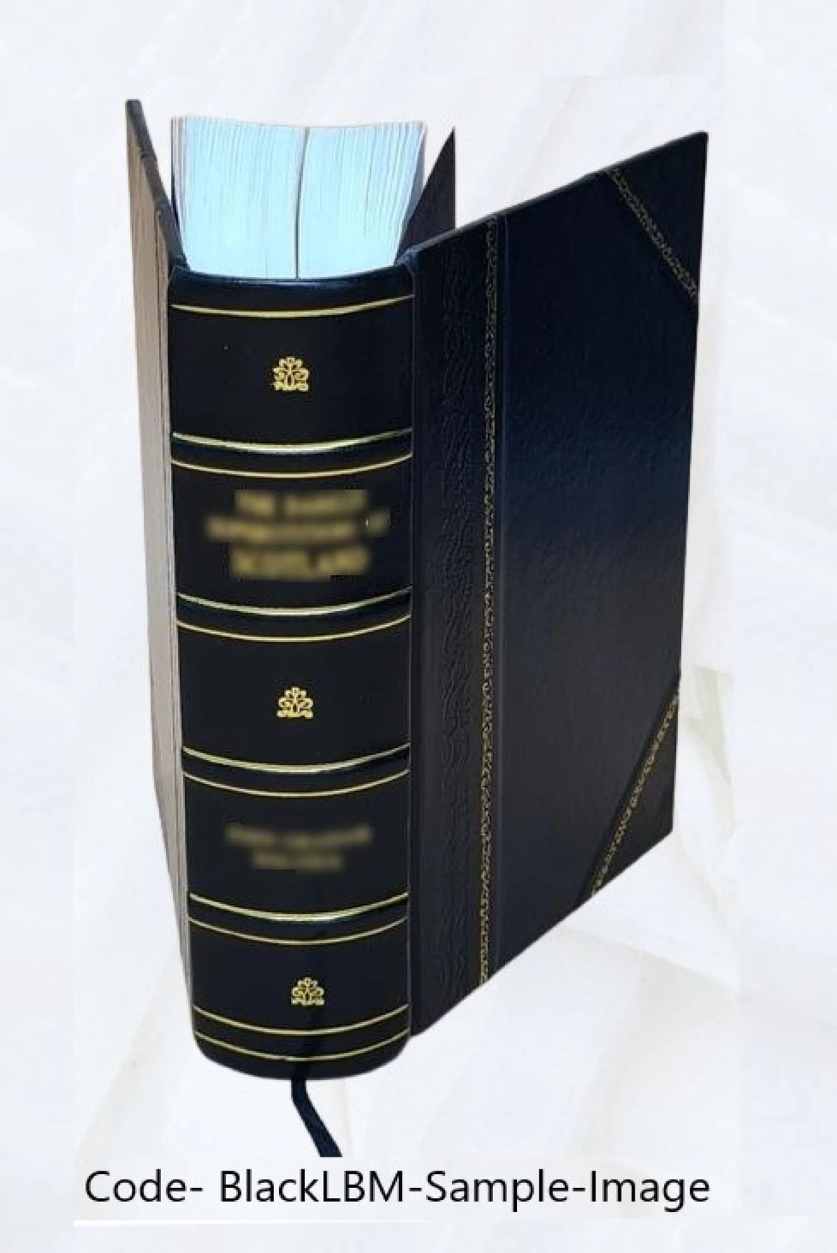 Hamburger Garten-und Blumenzeitung Leather Bound Y316261
