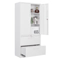 Metal Storage Cabinet with 2 Drawers D79578