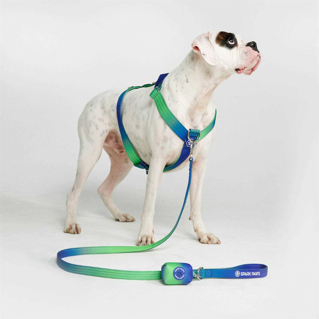 No-Pull Dog Harness G6252