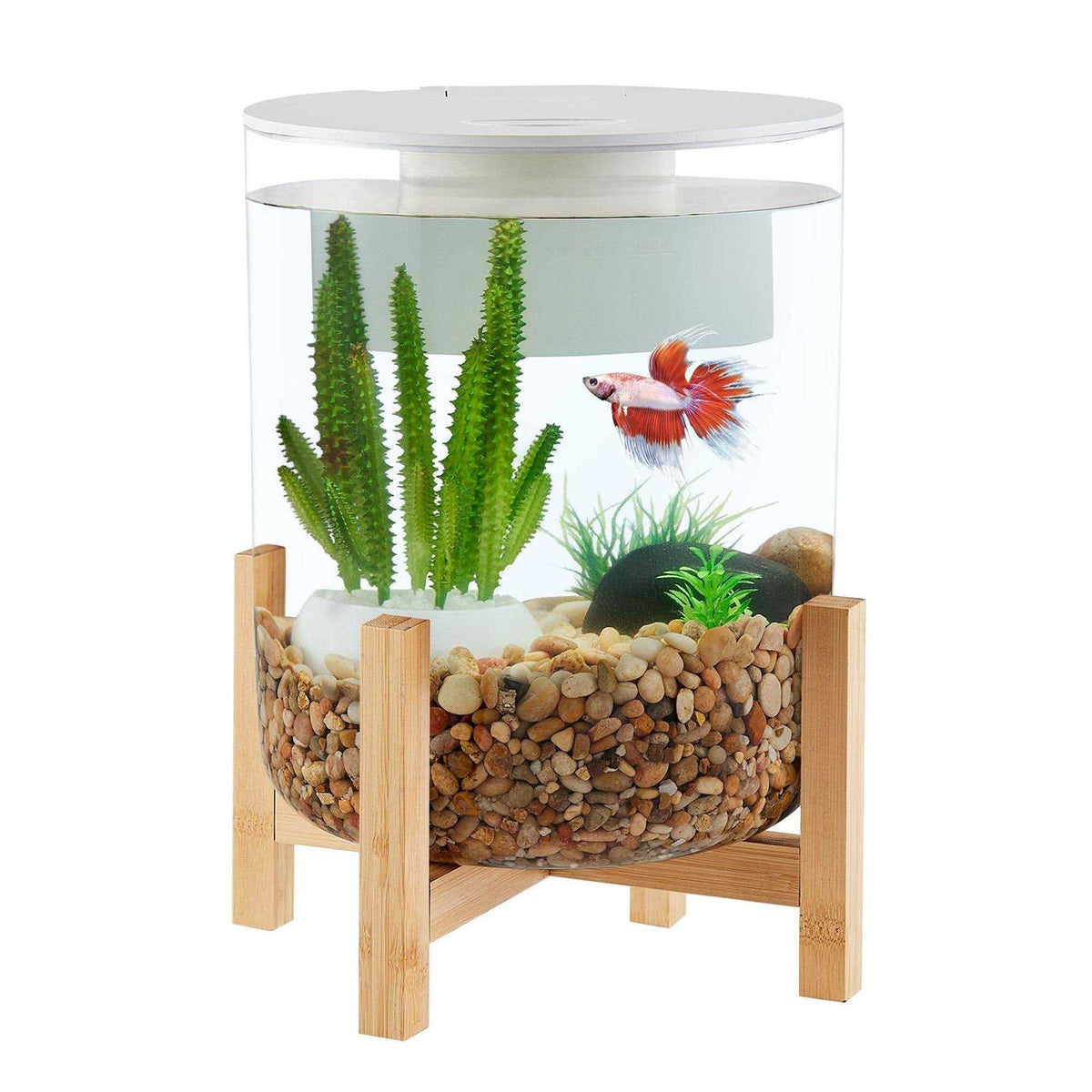 Bamboo Baseal Aquarium Y451