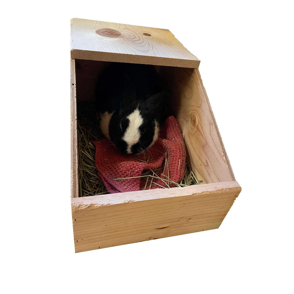 Rabbit Nesting Box T447729