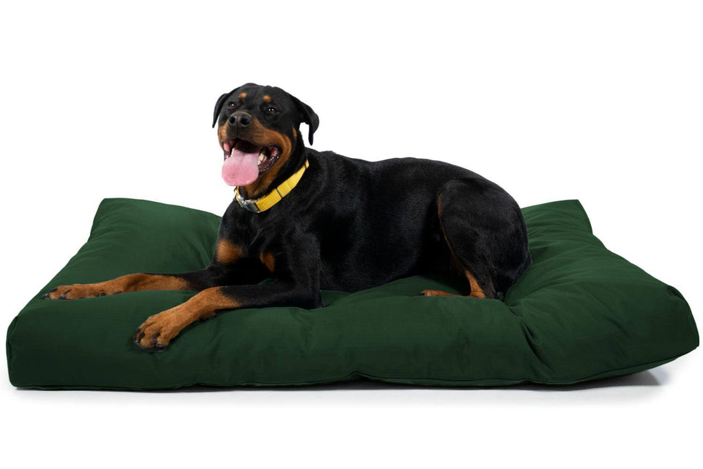 Green Large Chew Resistant Dog Bed A7167
