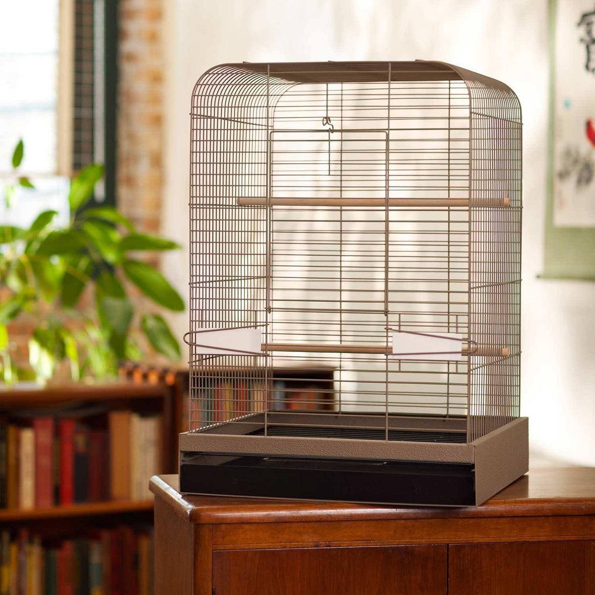 Black Bird Cage U331179