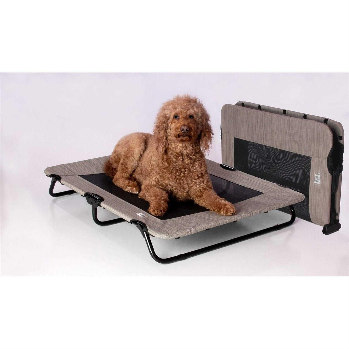 Elevated Pet Cot S675