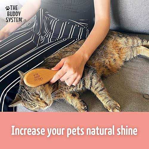 Boar Bristle Wooden Handle Cat Brush Z4994