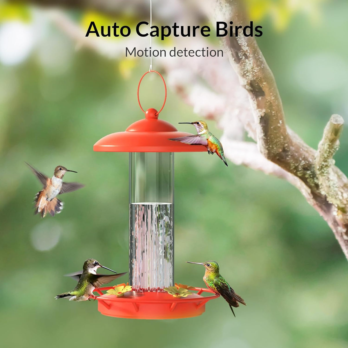 Smart Bird Feeder Camera with Solar Camera Lite U999440