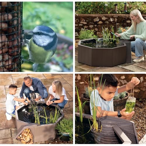 Raised Window Pond Kit S4194
