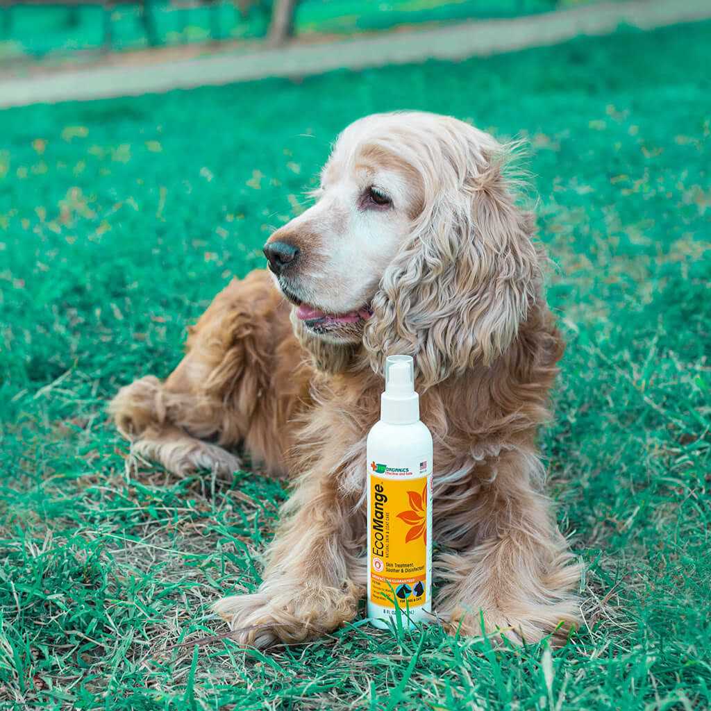 Dog & Cat Mange Skin Treatment Y153216