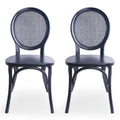 Matte Black Elm Wood Dining Chair Set of 2 Q842127