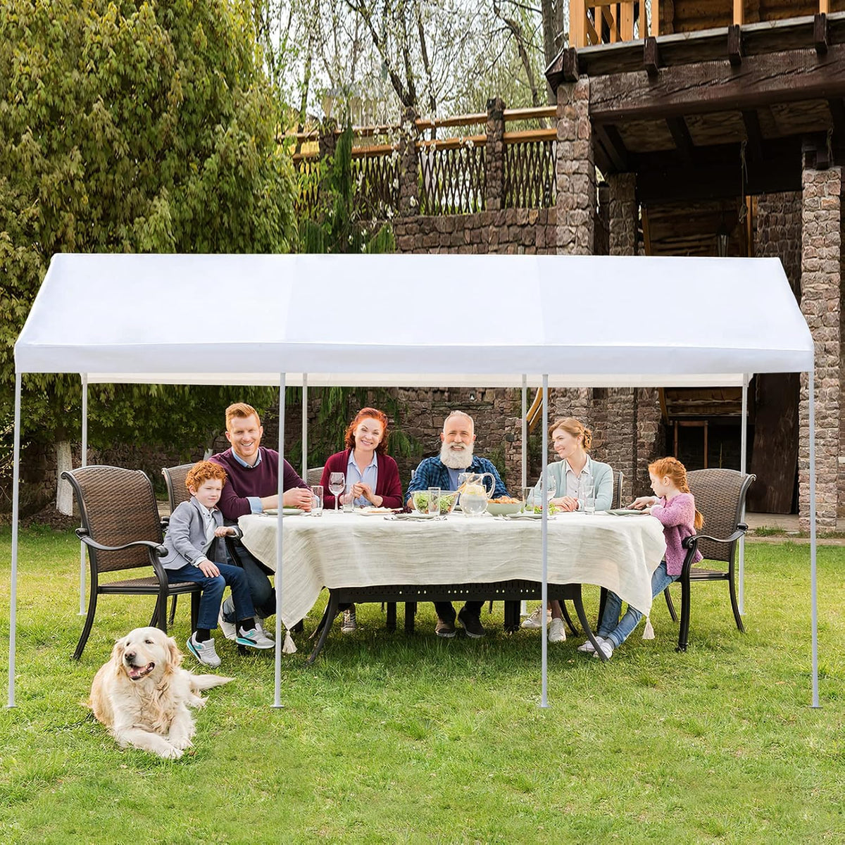 10x20 ft Heavy Duty Carport with Removable Sidewalls & Doors N497