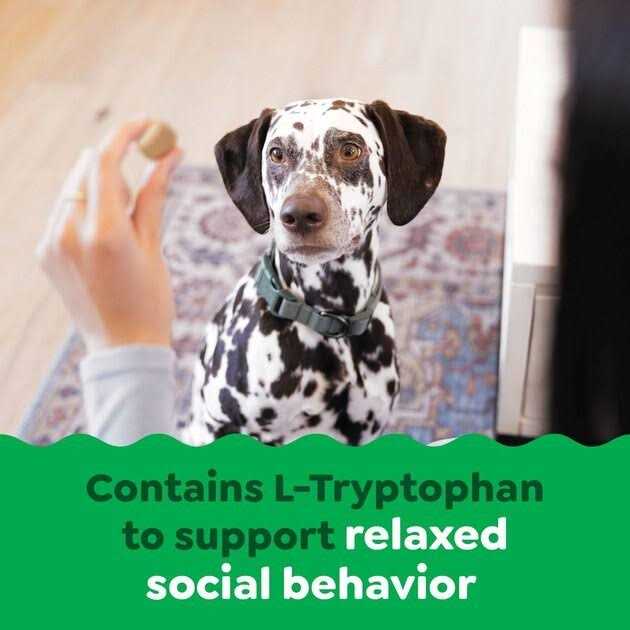 Calming Chews for Dogs Chicken Flavor C274857