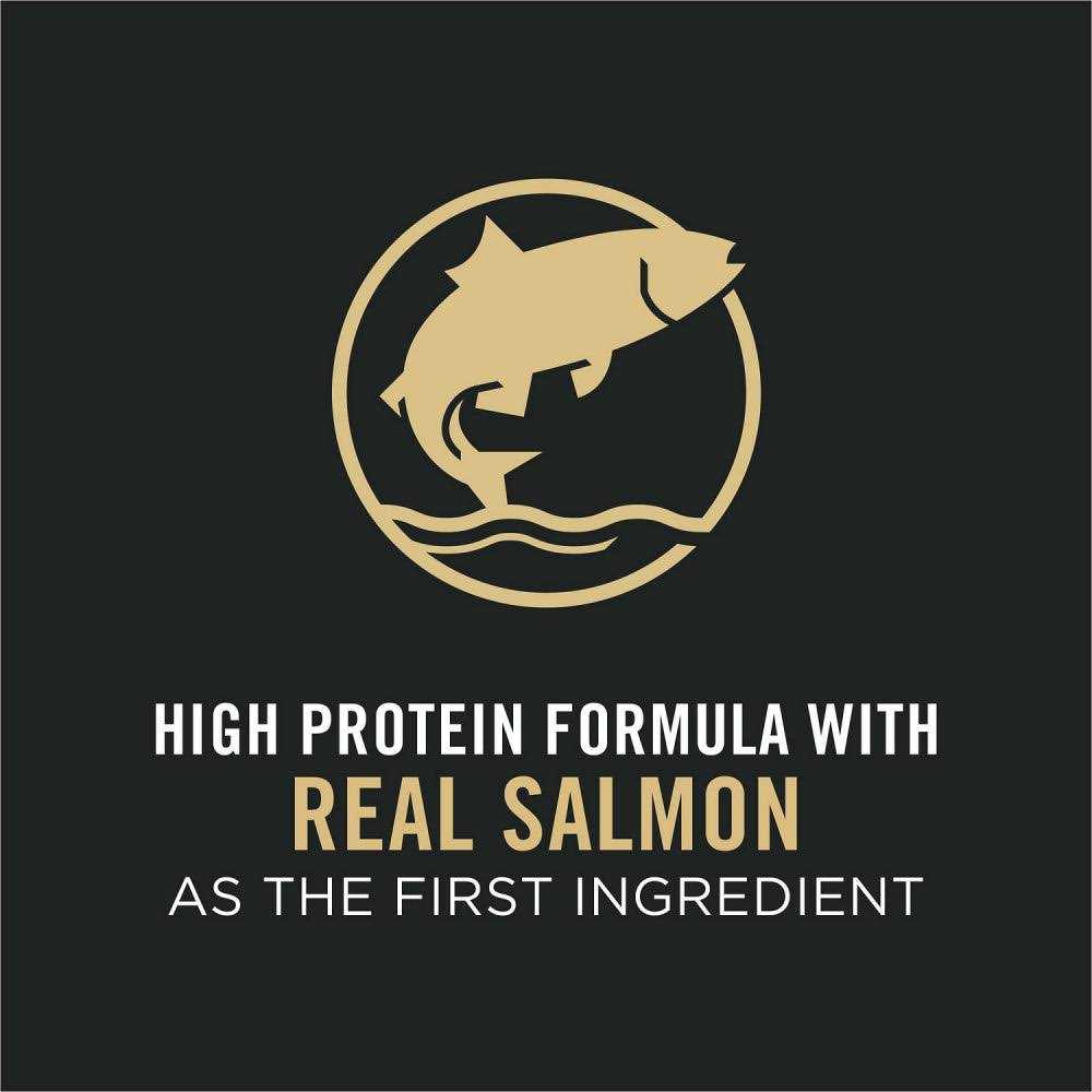 Salmon & Rice Formula Dry Cat Food H3679