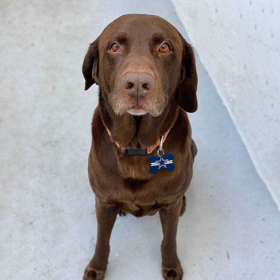 Dog ID Tag J6606