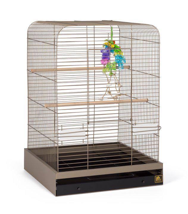 Black Bird Cage U331179