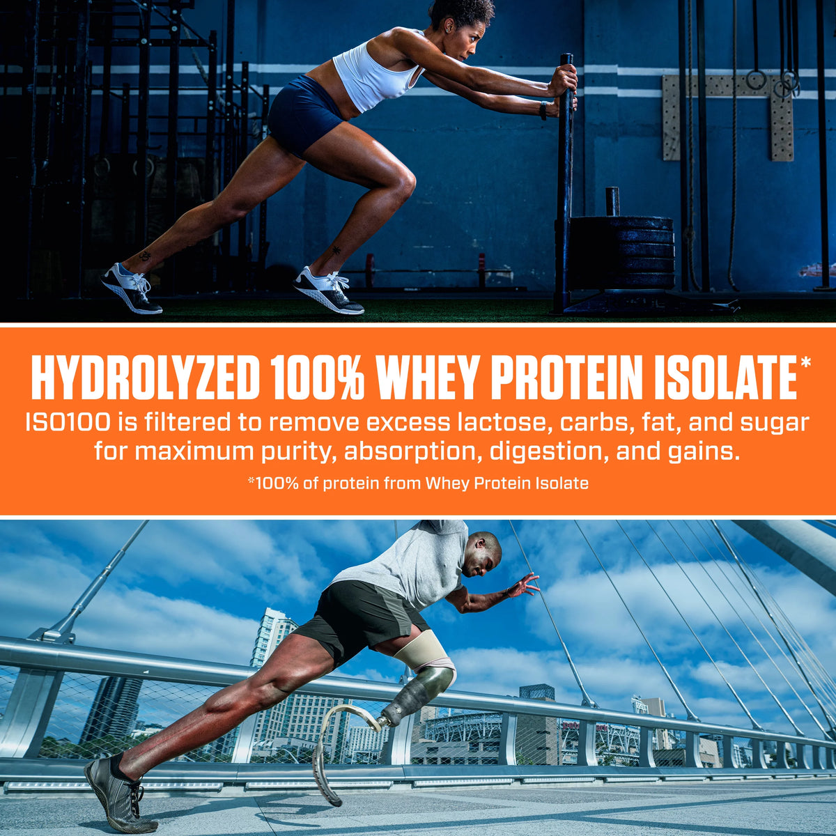 Hydrolyzed Whey Isolate Protein Powder M53121