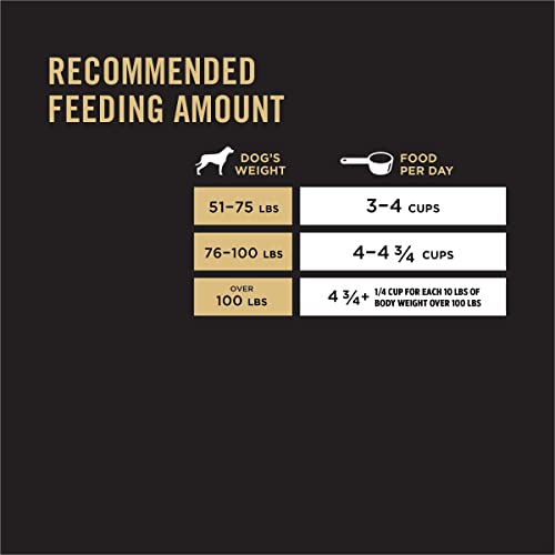 35 lb. Salmon Formula Large Breed Dog Food K4080