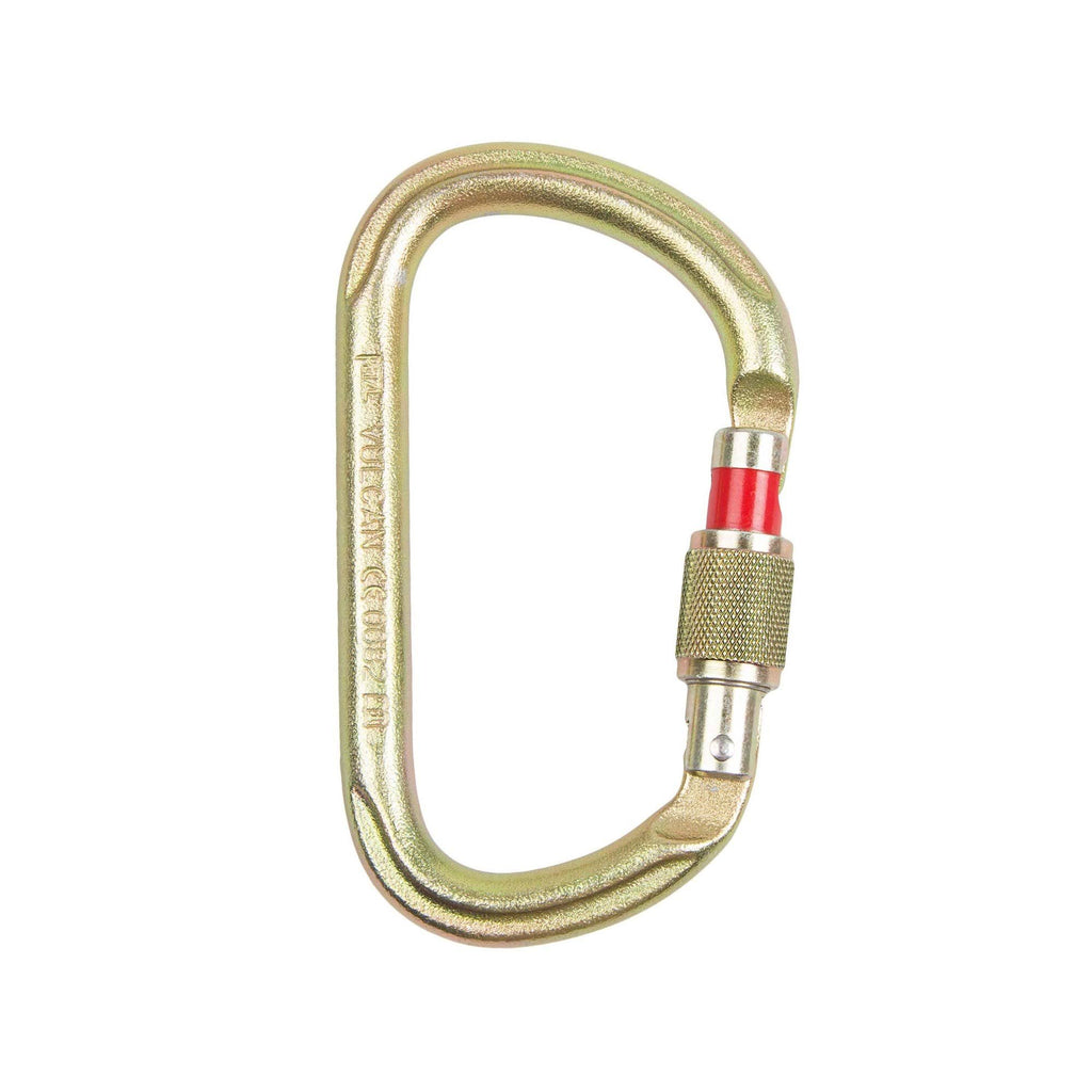 Screw Lock Carabiner Z2427