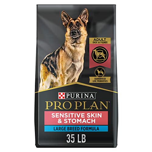 35 lb. Salmon Formula Large Breed Dog Food K4080