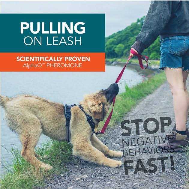 Dog Correction Spray Z7348