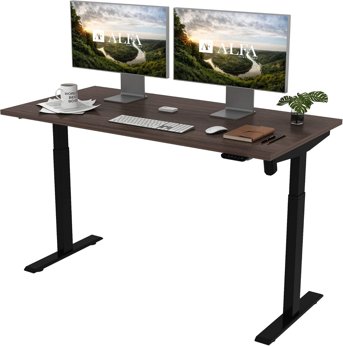 Height Adjustable Electric Sit Stand Desk N648