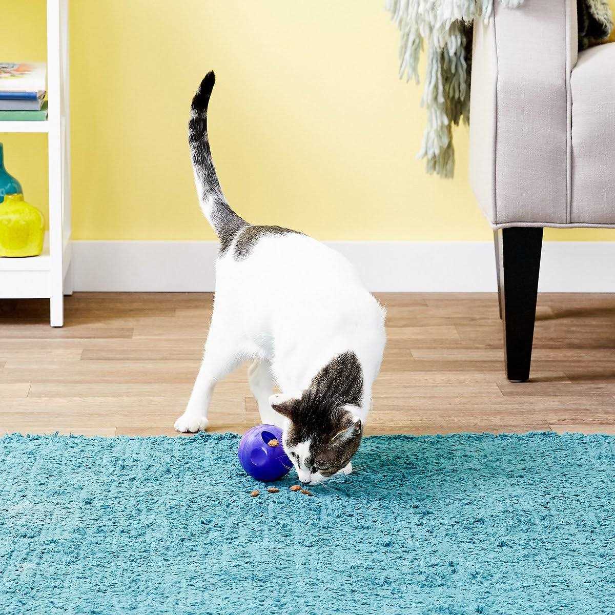 Cat Treat Ball Z306831