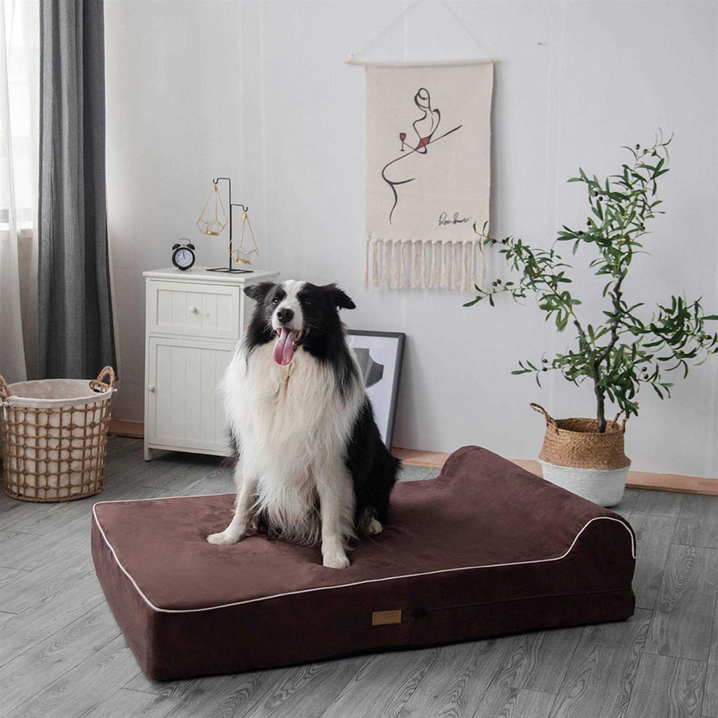 Dog Bed with Pillow Memory Foam H62375
