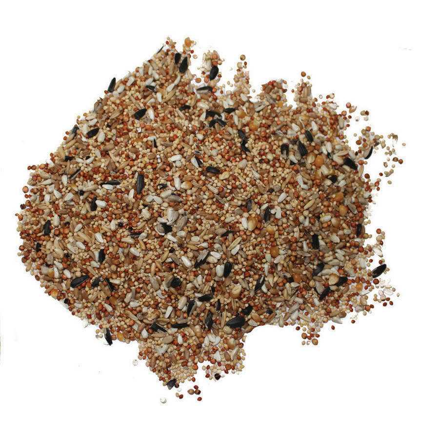 Dove & Quail Food L85605