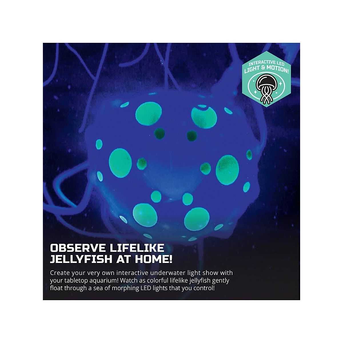 Jellyfish Aquarium Lamp E37824