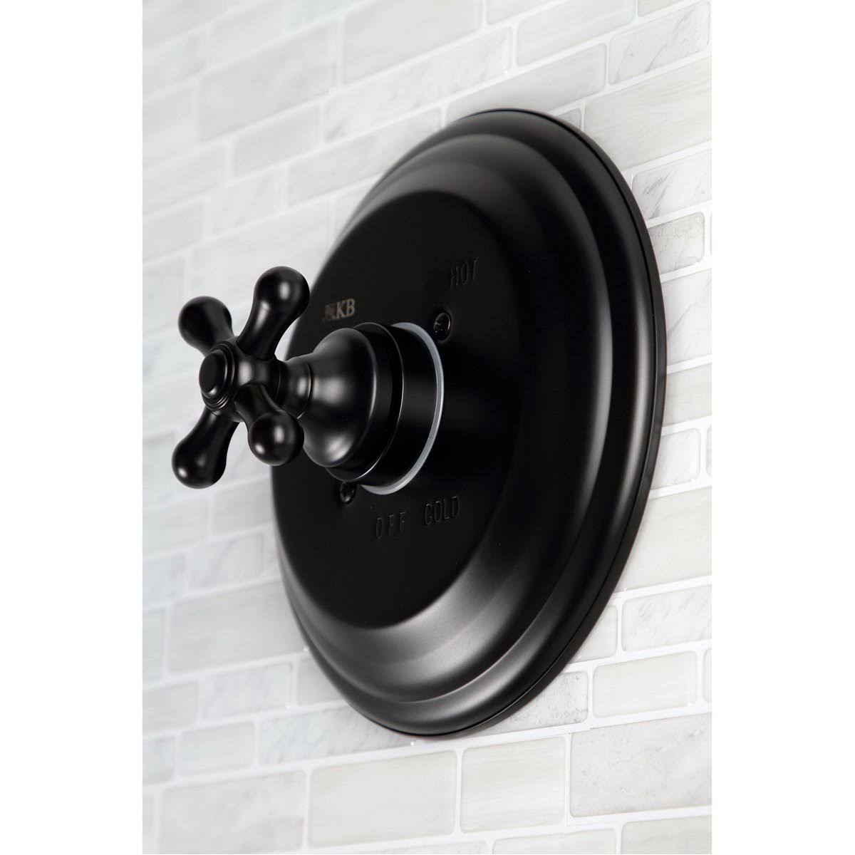 Matte Black Tub and Shower Faucet T260724